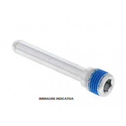 PERNO PINZA FRENO HONDA CR 125 (1987-01) POSTERIORE