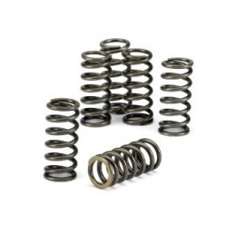 KIT MOLLE FRIZIONE HUSABERG...